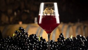 Tannat Grape Ale — Foto: Divulgação