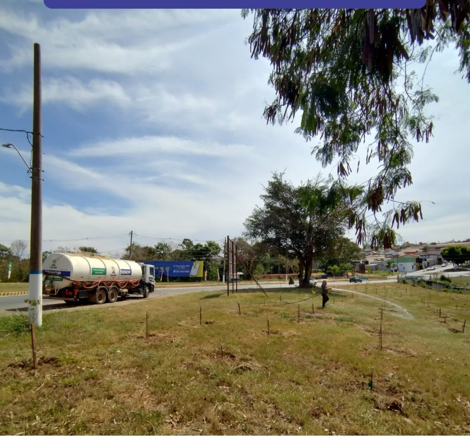 Caminhão-pipa e mudas do Bosque do Amanhã na rotatória do bairro Enéas Ferreira de Aguiar
