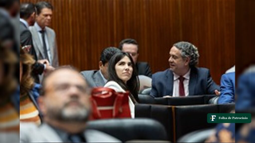 Deputada Maria Clara Marra em sessão plenária da Assembleia Legislativa de Minas Gerais, sobre as sobretaxas da Vip Loc