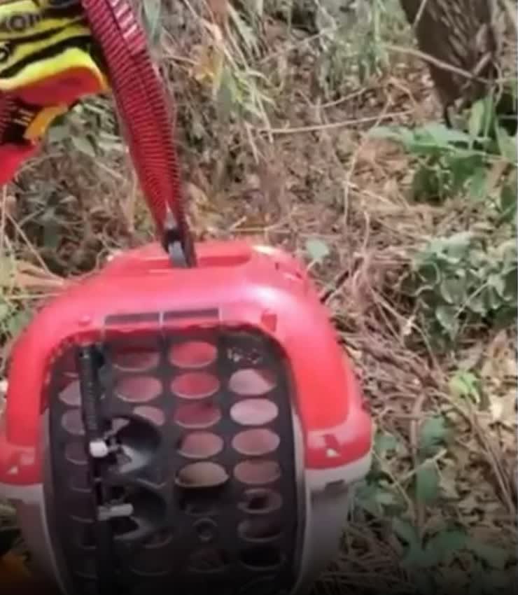 Caixa de transporte usada no resgate de gato em Patrocínio, baixada em segurança até o solo