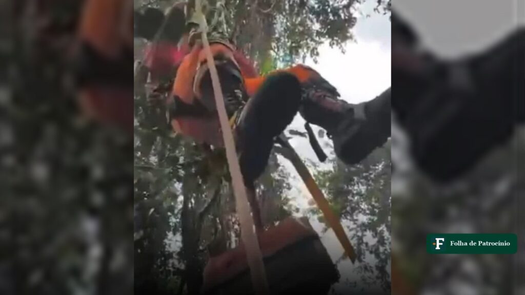 Bombeiro do CBMMG pendurado por corda durante resgate de gato em Patrocínio no topo de uma árvore