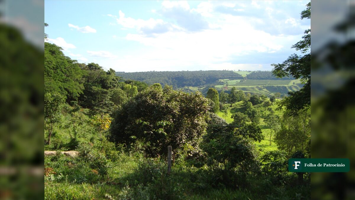 Prêmio de café regenerativo distribui R$ 40 mil no Cerrado Mineiro