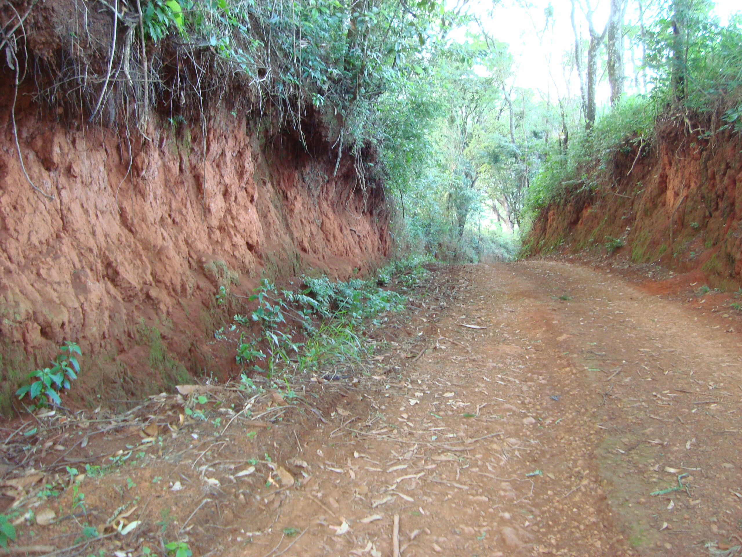 Corte de latossolo vermelho em estrada rural do Alto Paranaíba, o solo avaliado no prêmio de café regenerativo