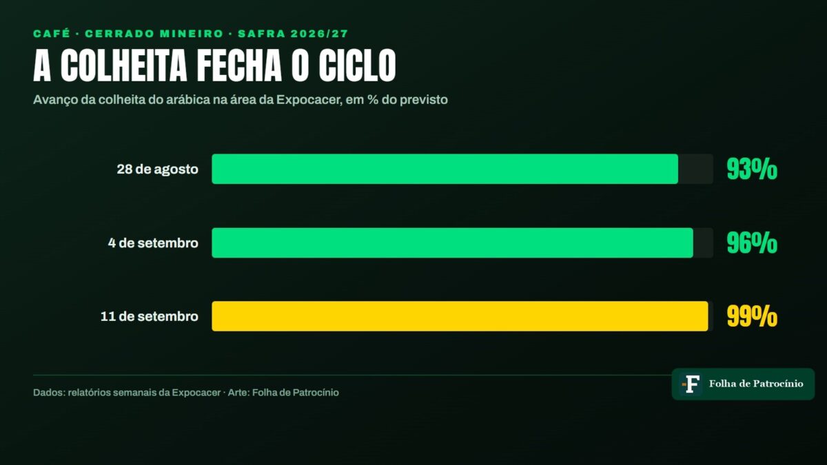 Colheita do café chega a 99% e florada de 33% já define 2027