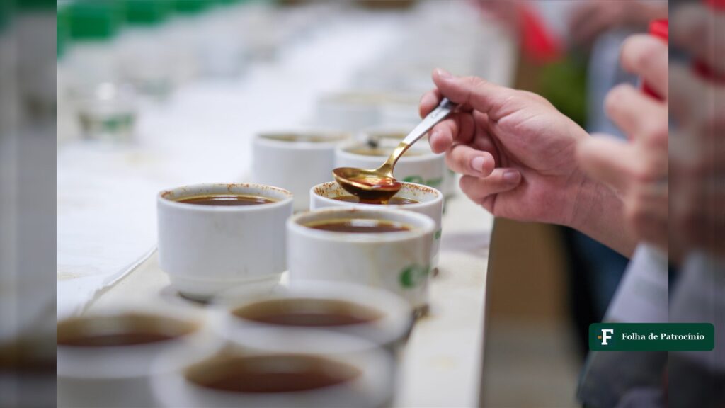 Xícaras de prova de consumo de café alinhadas em mesa de degustação da Expocacer, com provador segurando a colher