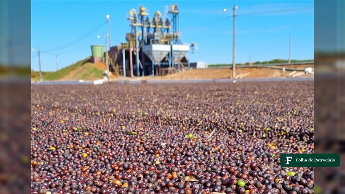 Safra colombiana mais fraca favorece café do Cerrado Mineiro