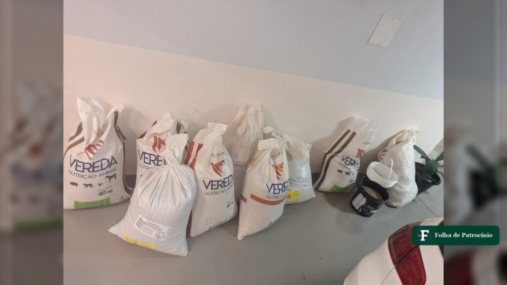 Sacas recuperadas pela Polícia Militar após furto de café em Patrocínio