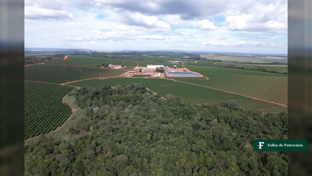 Vista aérea de fazenda de café no Cerrado Mineiro, região onde houve o furto de 20 sacas de café em Patrocínio