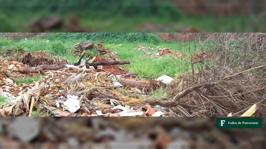 Lote vago com entulho, telhas quebradas, galhos secos e mato, alvo da limpeza de terrenos cobrada pela Prefeitura de Patrocínio