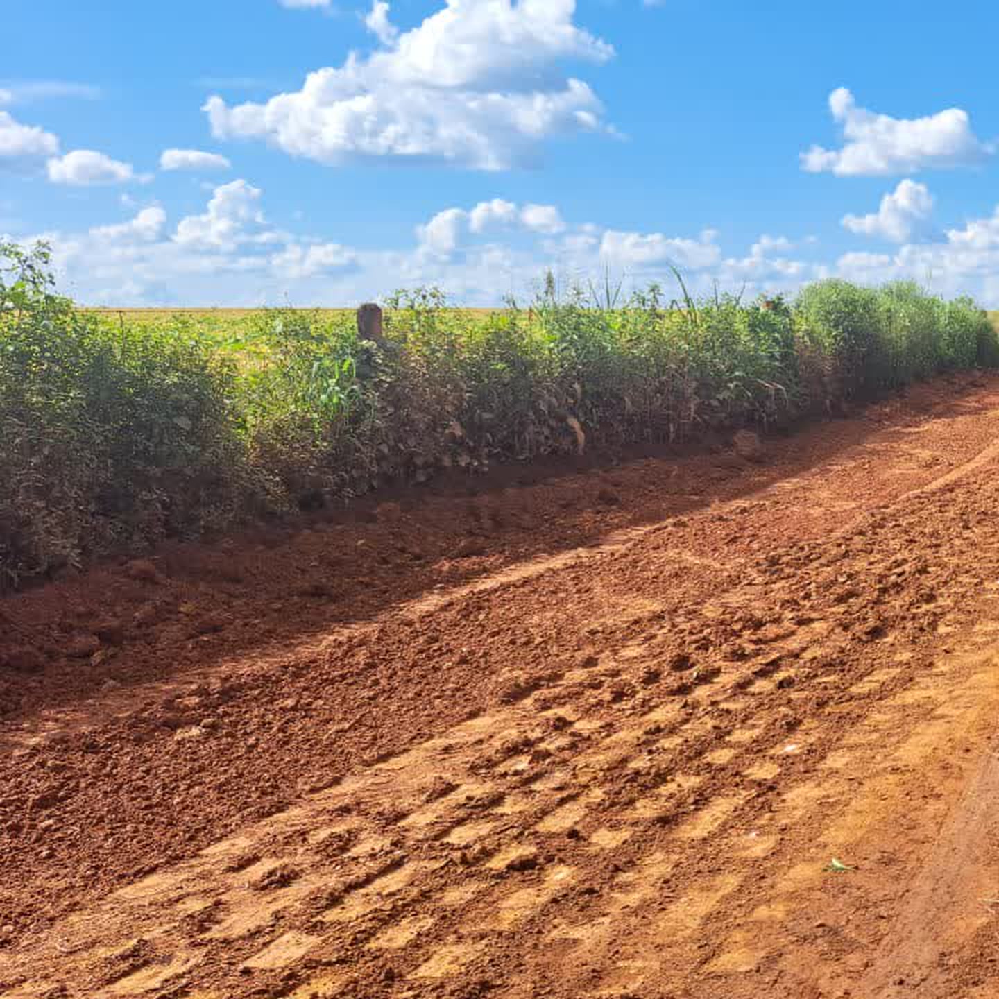 Estrada de terra na zona rural de Patrocínio, região onde a PM apreendeu drogas e facas