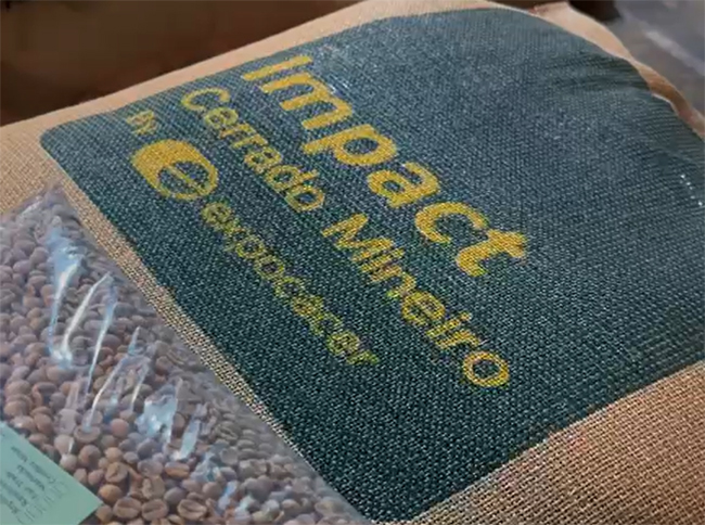 Saco de juta com o selo Impact Cerrado Mineiro by Expocacer e grãos de café em embalagem plástica