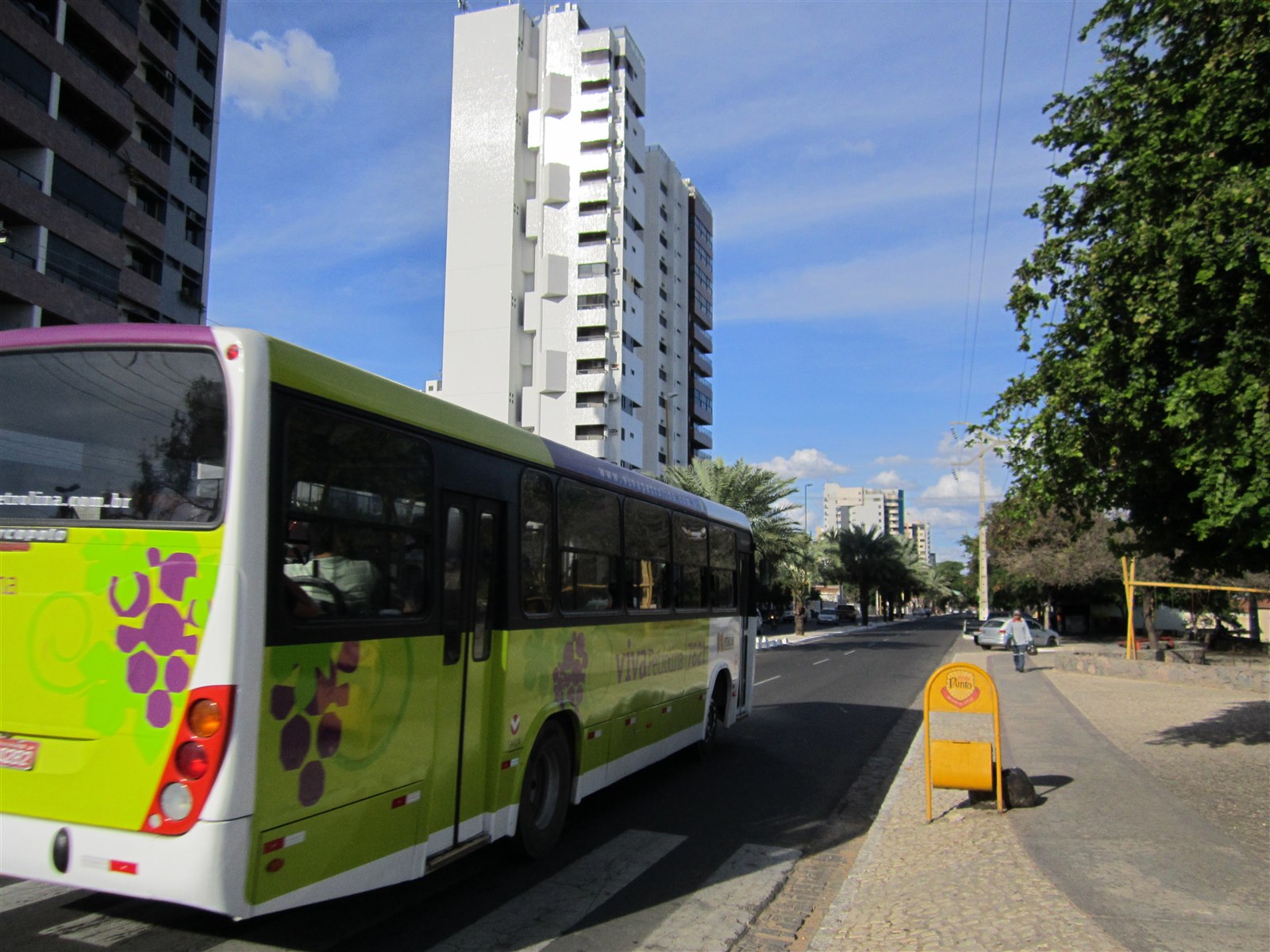 Traseira de ônibus urbano parado em avenida arborizada, imagem ilustrativa sobre furto de ônibus em Patrocínio