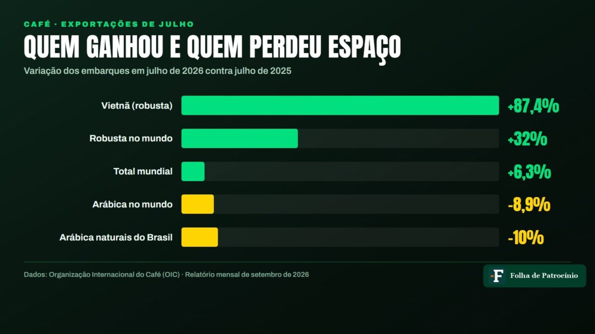 Exportação de arábica cai 8,9% e robusta avança 32% no mundo
