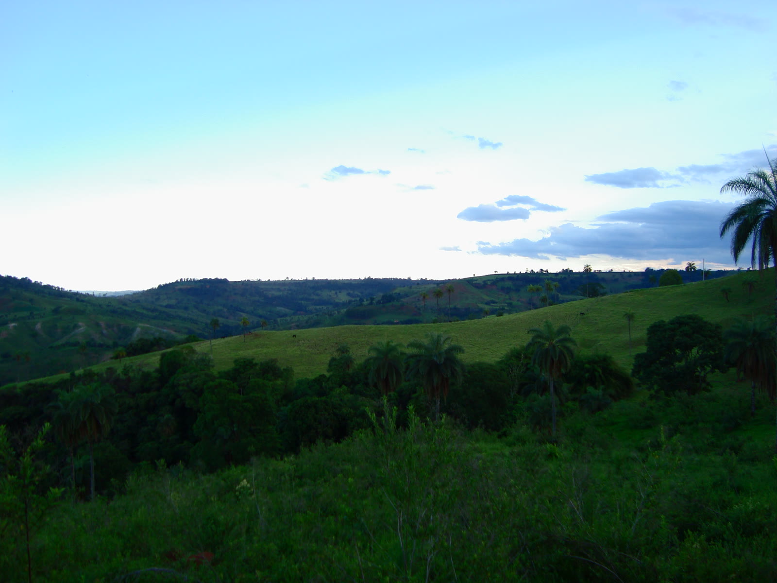 Zona rural de Arapuá às margens da BR-354, trecho onde a ossada humana foi localizada