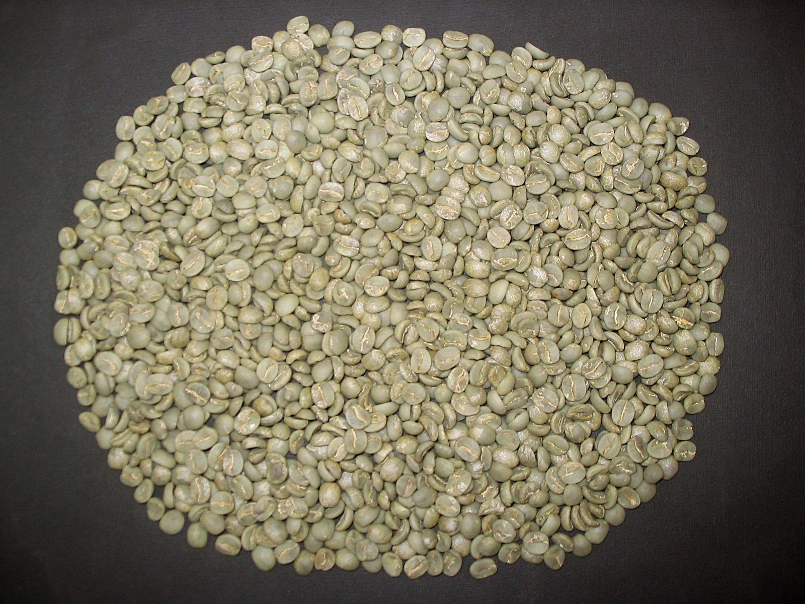 Grãos de café arábica cru antes da torra, tipo de lote que define o preço do café arábica pago ao produtor