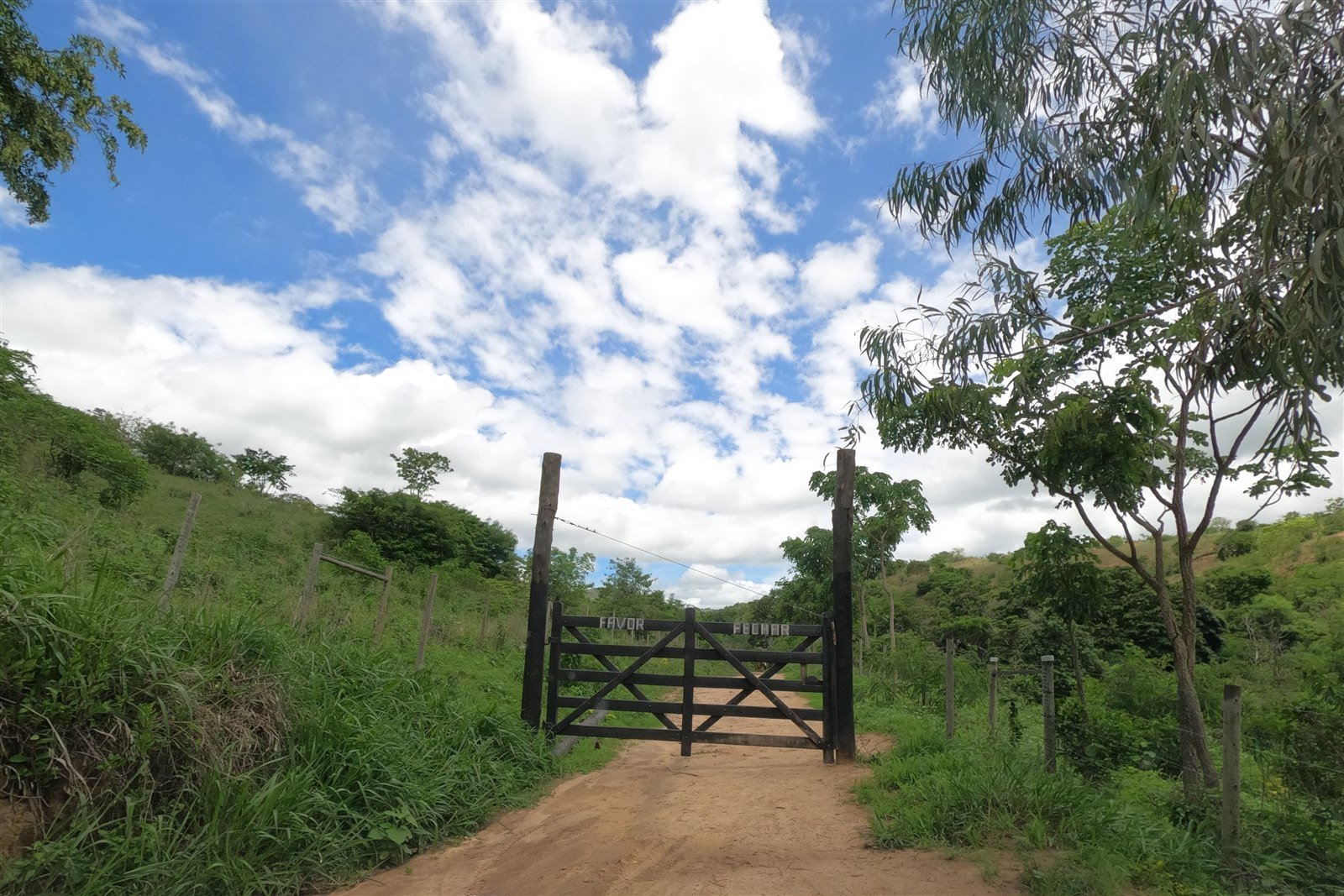 Estrada de terra cortando área de pastagem na zona rural mineira