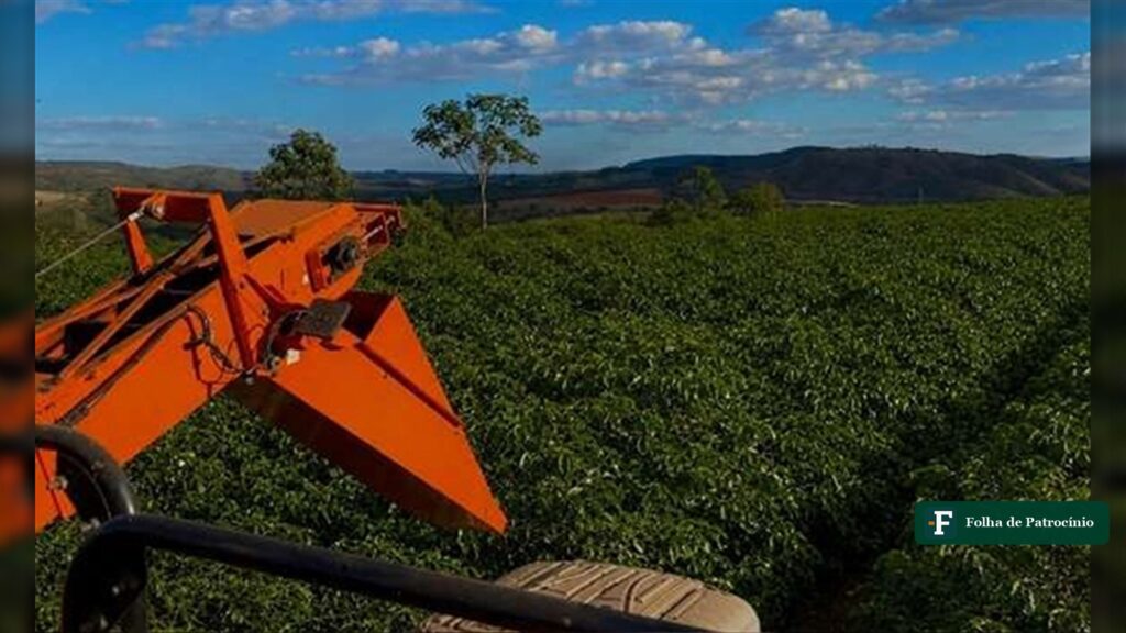 Colhedora de café em cafezal do Cerrado Mineiro em Patrocínio. Foto: Divulgação/Expocacer