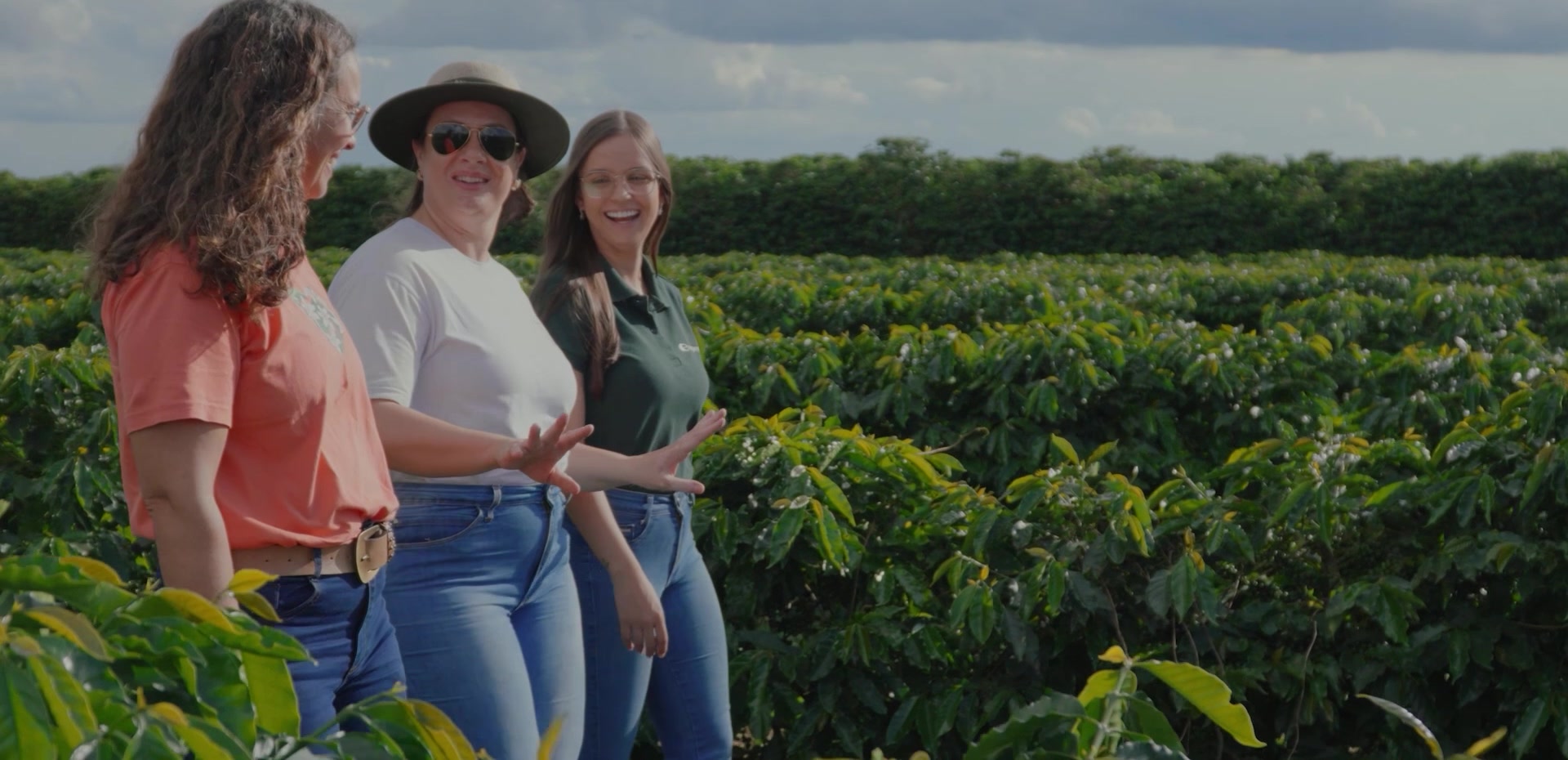 Mulheres caminham entre cafeeiros em lavoura do Cerrado Mineiro, onde o produtor acompanha o prêmio do arábica