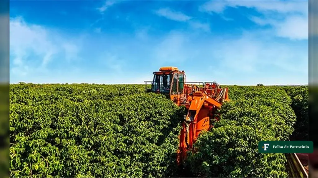 Colheitadeira na lavoura de café, atividade que mais perdeu crédito rural em Patrocínio