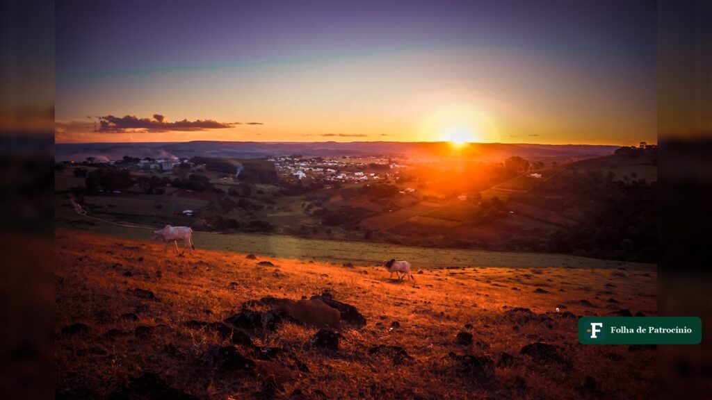 Pôr do sol sobre pasto com gado na zona rural atendida pela Patrulha Rural em Patos de Minas