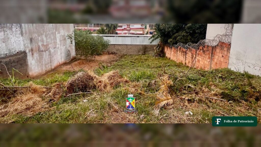 Terreno com mato alto e restos de vegetação em Patrocínio, tipo de situação que gera notificações de lotes. Foto: Prefeitura de Patrocínio (arquivo, julho de 2026)