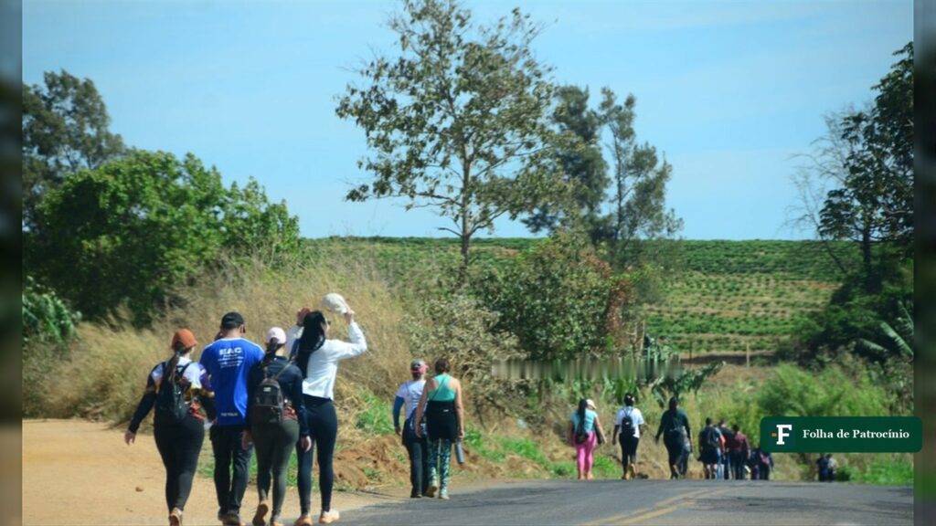 Fiéis a pé em estrada entre cafezais durante caminhada de fé da festa de Nossa Senhora Aparecida em Patrocínio