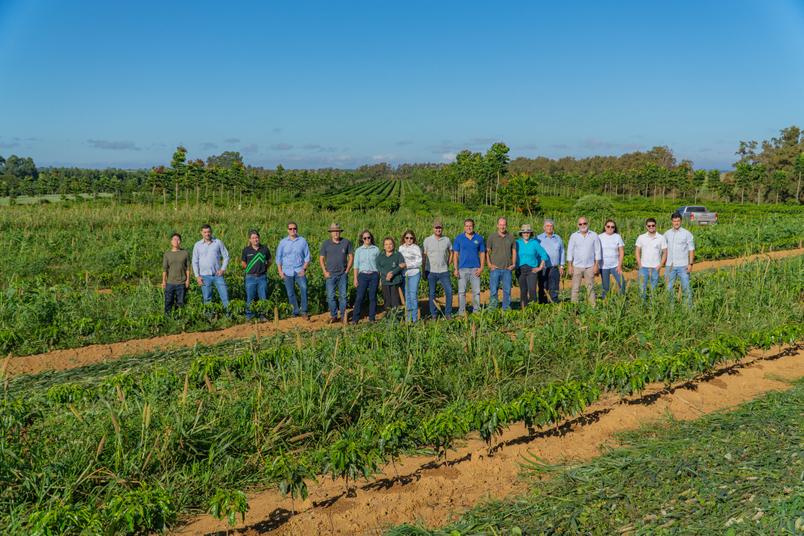 Grupo posa entre lavouras de café no Cerrado Mineiro, cenário do recorde da Expocacer em amostras inscritas