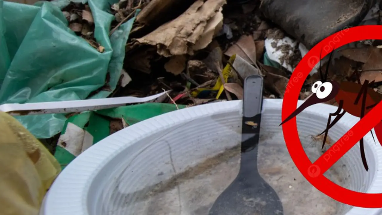 Prato descartável com água parada no meio de lixo e folhas, exemplo de focos de dengue em quintais