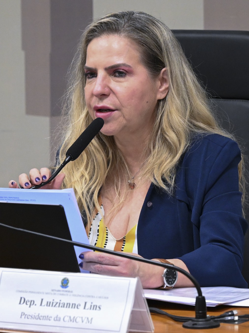 Luizianne Lins, entre os senadores eleitos no Ceará, fala ao microfone na presidência de uma comissão do Congresso