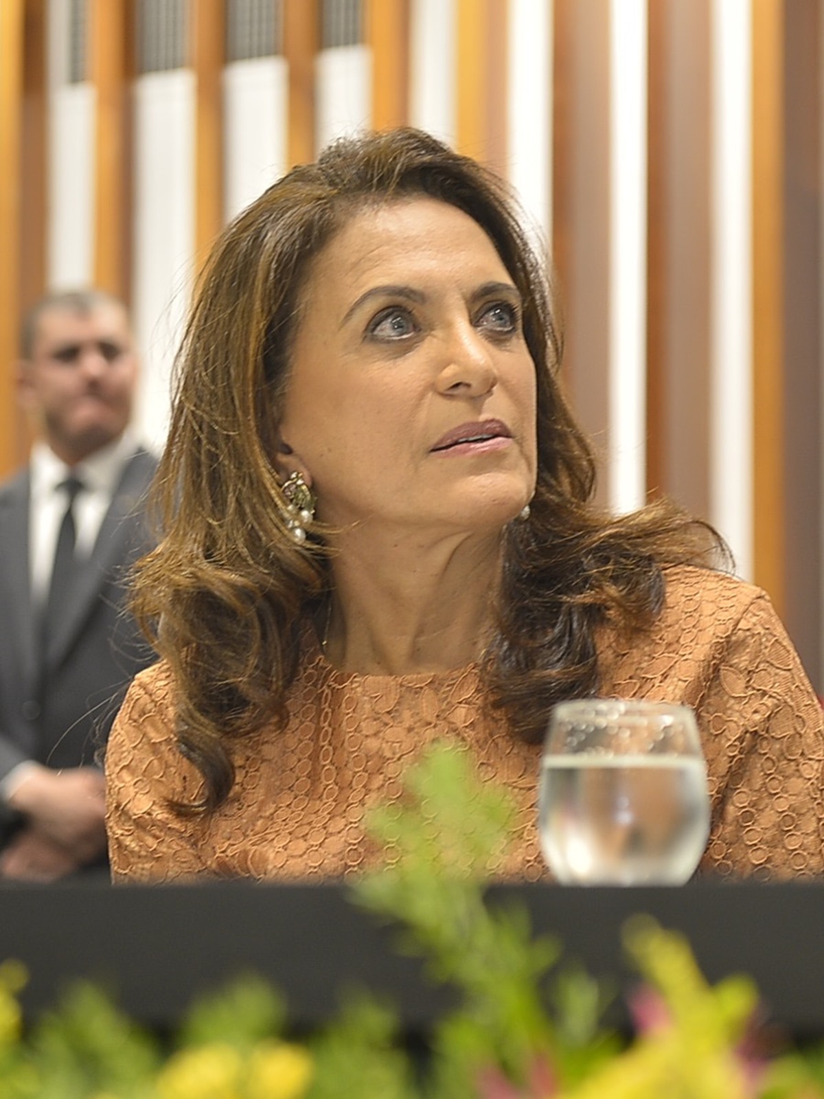 Gracinha Caiado, que está entre os senadores eleitos em Goiás, durante sessão especial na Assembleia Legislativa de Goiás