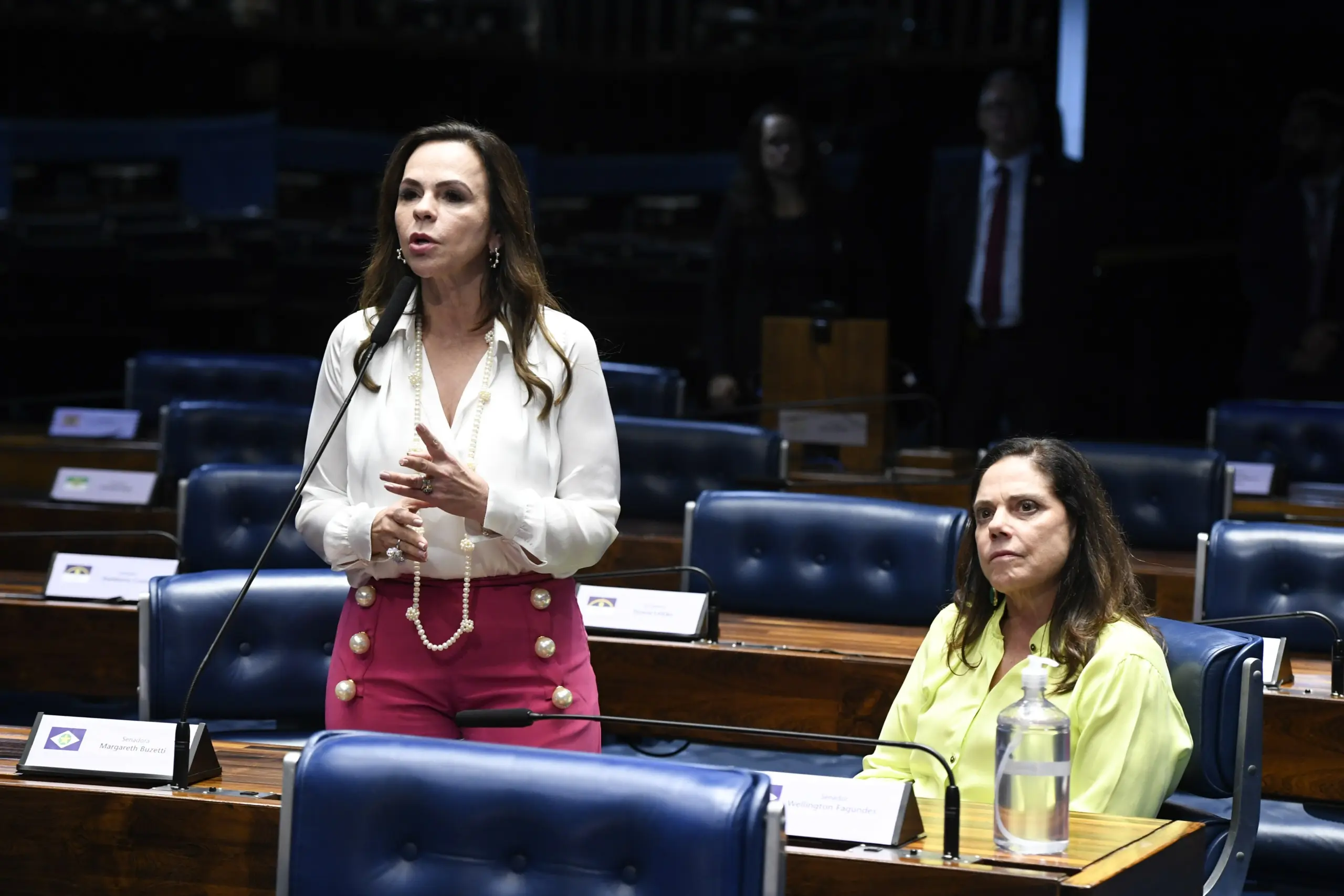 Professora Dorinha em plenário do Senado, candidata a governador do Tocantins