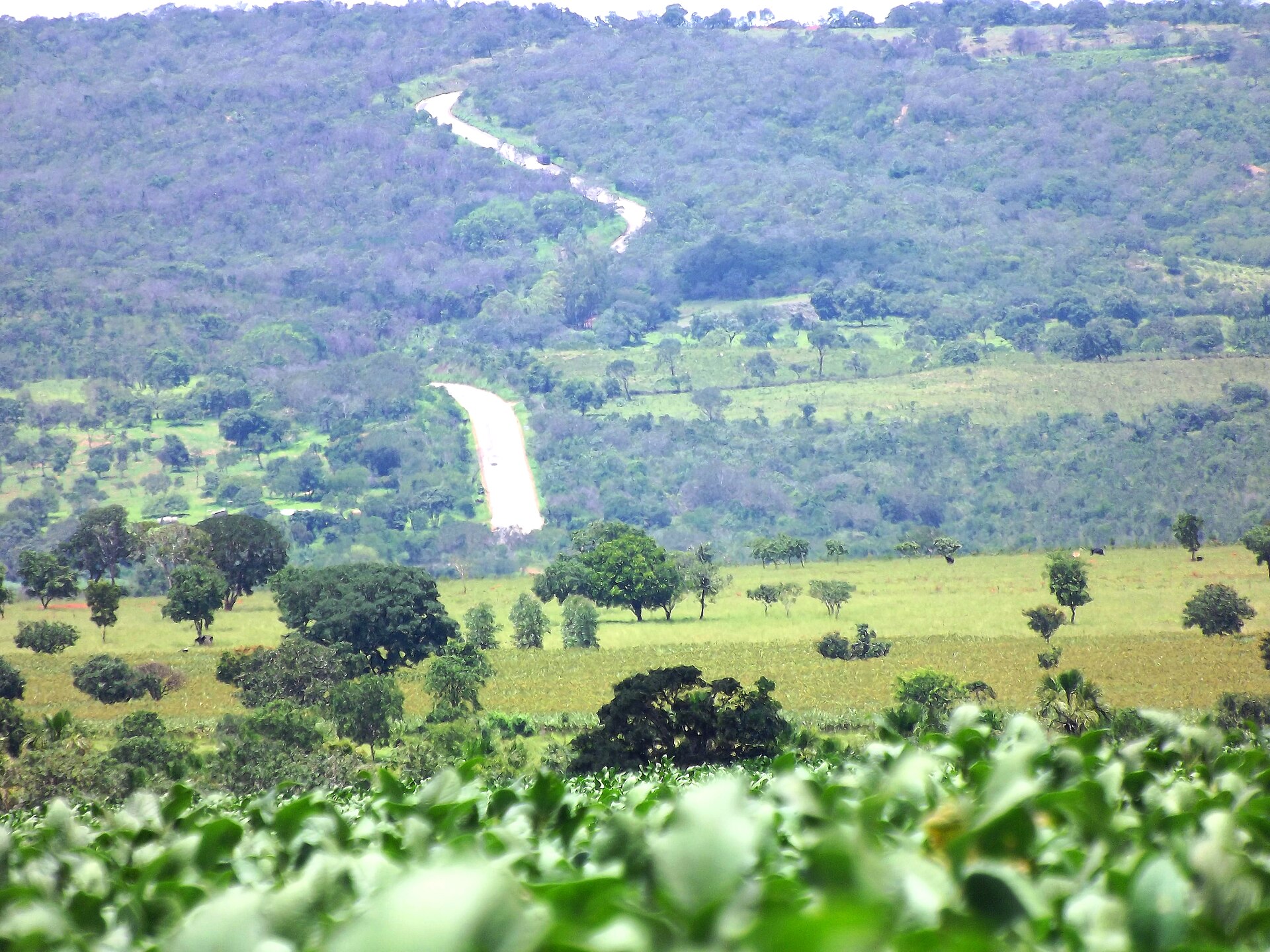 Paisagem rural de Paracatu, base eleitoral de Igor Santos eleito deputado federal pelo PL