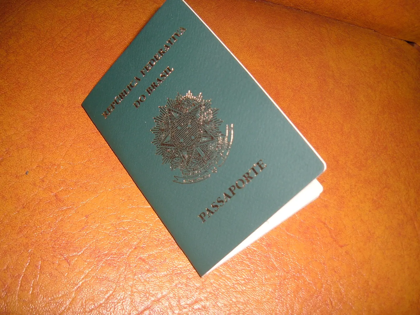 Passaporte brasileiro, documento no centro do caso do passaporte de Flávio
