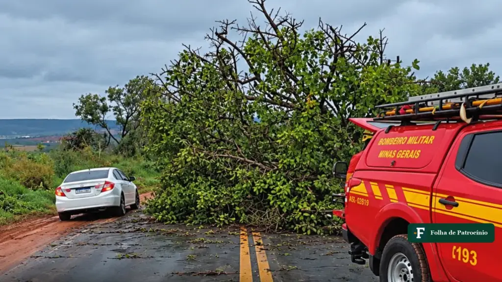 Queda de árvores em Patrocínio: árvore caída sobre a pista e viatura dos bombeiros na rodovia
