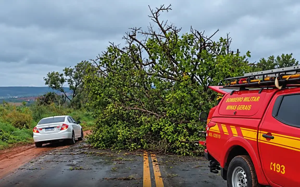 Queda de árvores em Patrocínio: copa da árvore atravessada na pista e caminhonete do Corpo de Bombeiros