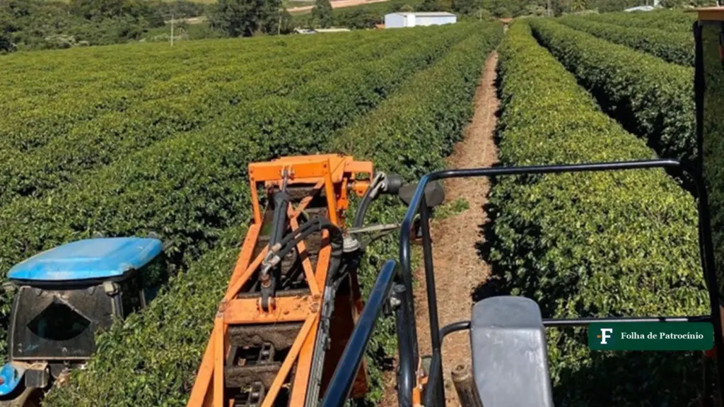 Colheita mecanizada em lavoura de café do Cerrado Mineiro, área de atuação dos cursos técnicos do Senar e-Tec