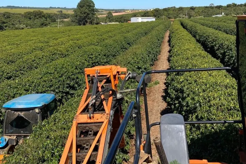 Colhedora avança entre linhas de café no Cerrado Mineiro; o Senar e-Tec tem curso técnico em Cafeicultura