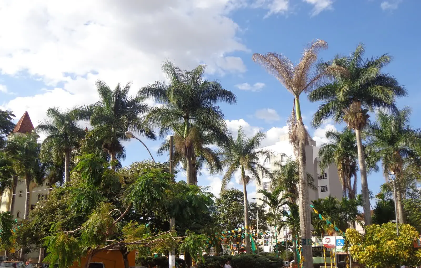 Praça da Matriz de Patrocínio, com palmeiras, na matéria sobre o voto no Triângulo Mineiro