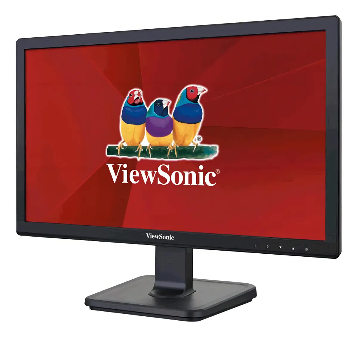 Monitor ViewSonic de 19 polegadas em ângulo, mostrando a base e a moldura fina