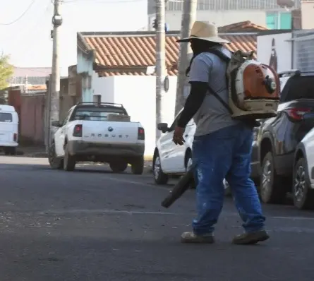 Zeladoria em Patrocínio: servidor usa soprador de folhas em rua da cidade